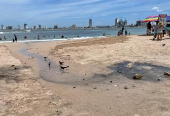 Aguas negras y basura impide recuperación de certificación de Playa Pinitos en Mazatlán