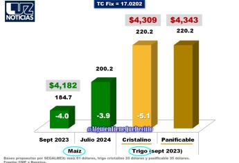 Mal panorama para precio del maíz