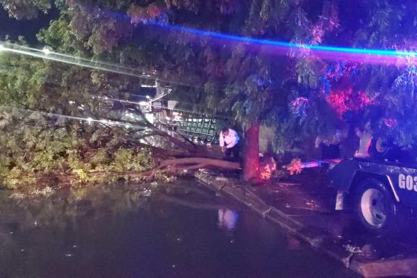 Árboles caídos y vehículos varados, los resultados de la fuerte tormenta en Culiacán