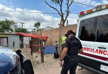 Podaba un árbol y lo encuentran colgado de una horqueta, muerto por golpe de calor