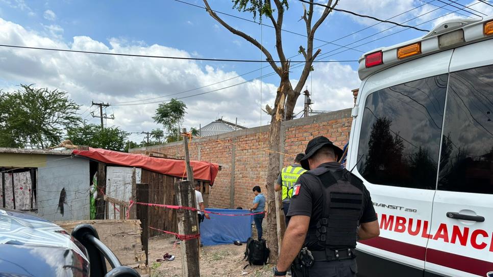 Podaba un árbol y lo encuentran colgado de una horqueta, muerto por golpe de calor