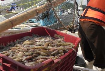 La pesca de camarón «la tiene la maña»: Leonel Sánchez 