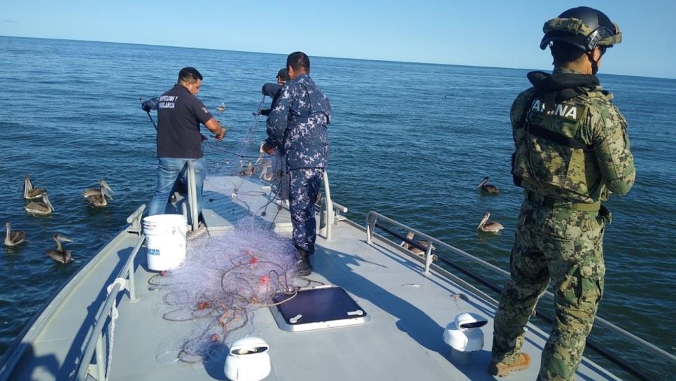 Fortalecen vigilancia de veda del camarón en Sinaloa