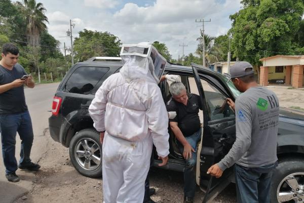 Rescatan a tres hombres de morir picados por abejas en Ahome, uno tenía 800 aguijones