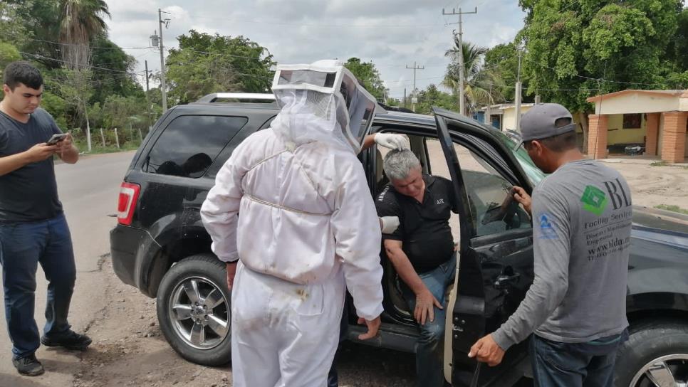 Rescatan a tres hombres de morir picados por abejas en Ahome, uno tenía 800 aguijones