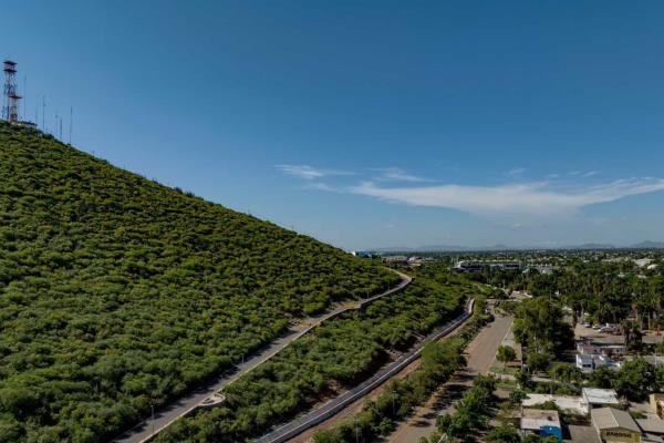 Benefician a Ahome, El Fuerte y Angostura con 142 mdp en obras