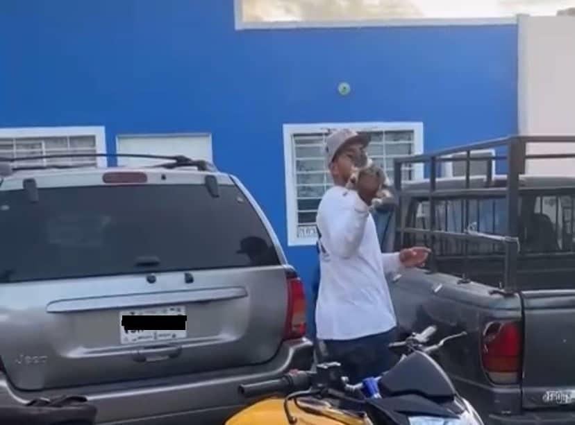 Trabajadores de conocidos hotdogs arrojan a gatito a un segundo piso, en Mazatlán