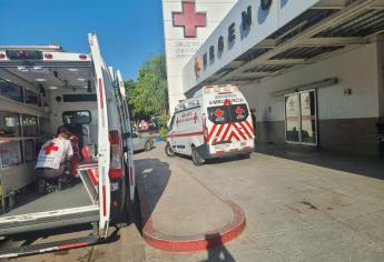 Abejas atacan a una familia en Culiacán, reportan dos menores heridos