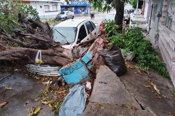 Lluvias en Mazatlán dejan árboles caídos, ventanas quebradas y calles inundadas