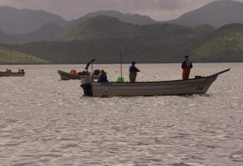 Saquean camarón en Topolobampo con artes de pesca ilegales