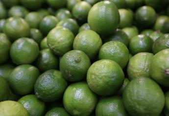 Se viene un repunte en el precio del limón y aguacate por Semana Santa 