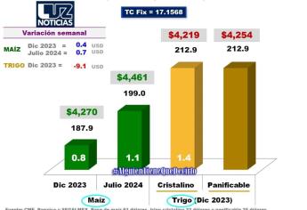 Precio del maíz para el 2024 será de 4 mil 461 pesos por tonelada 
