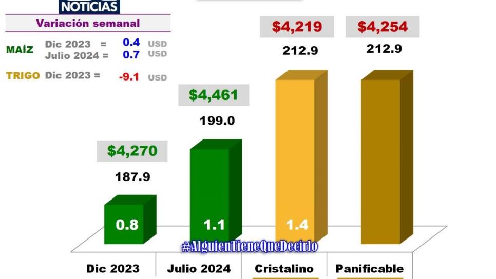 Precio del maíz para el 2024 será de 4 mil 461 pesos por tonelada 