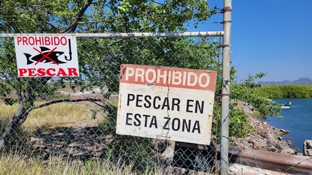 Imagen Placeholder