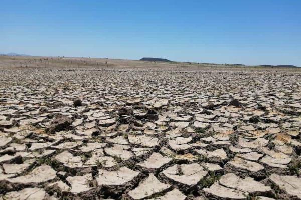 Sequía en Sinaloa: estos son los municipios más secos y que reciben agua en pipas