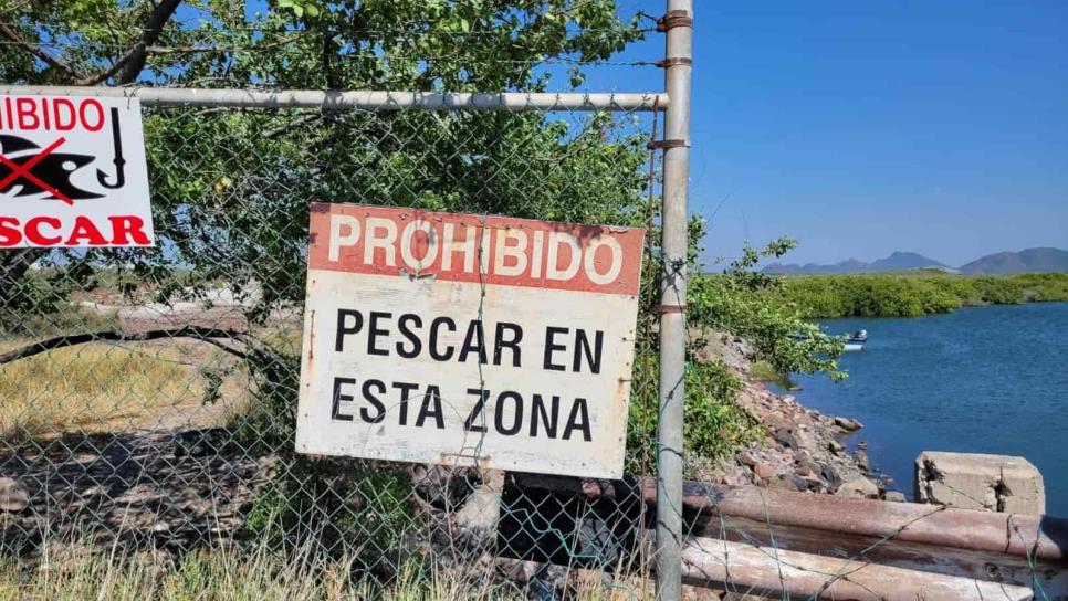Leonel fue localizado muerto: era el hombre encontrado en los manglares de Topolobampo