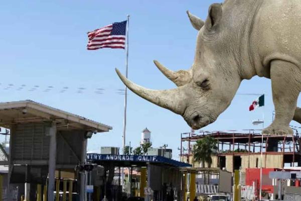 Los 5 objetos más insólitos incautados por la Aduana de Estados Unidos