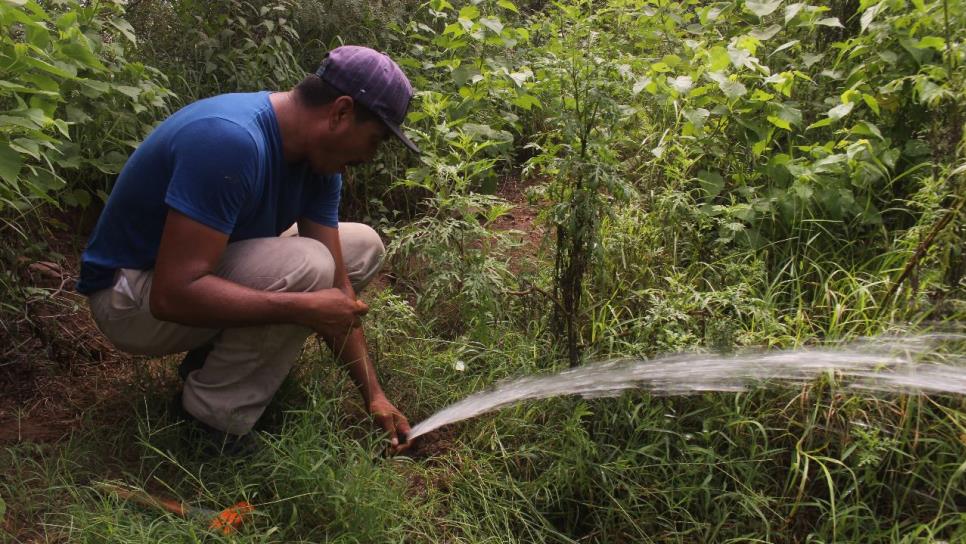 La policía y PC van contra «derrochadores» de agua en Ahome