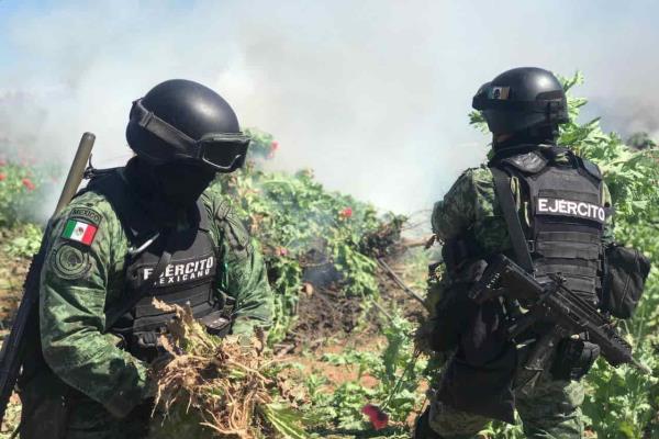 Ejército detuvo a 6 delincuentes y aseguró 91 narcolaboratorios en septiembre en Sinaloa