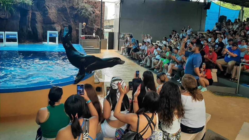 ¿Cuáles son las especies más costosas de mantener en el Acuario Mar de Cortés de Mazatlán?