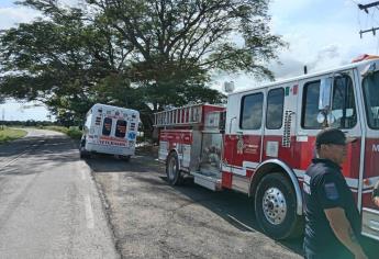 Abejas atacan y dejan 6 personas lesionadas en carretera Villa Unión-Walamo