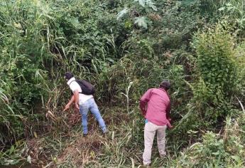 En El Rosario limpian canales y podan árboles por amenaza de «Lidia»