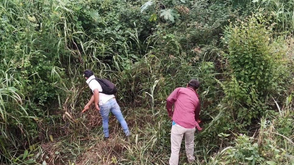 En El Rosario limpian canales y podan árboles por amenaza de «Lidia»