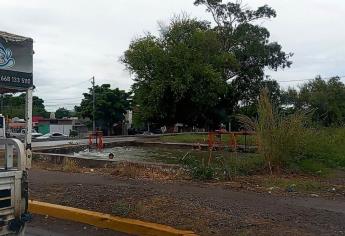 ¡De alto riesgo! Niños aprovechan suspensión de clases y se bañan en canal de riego en Los Mochis