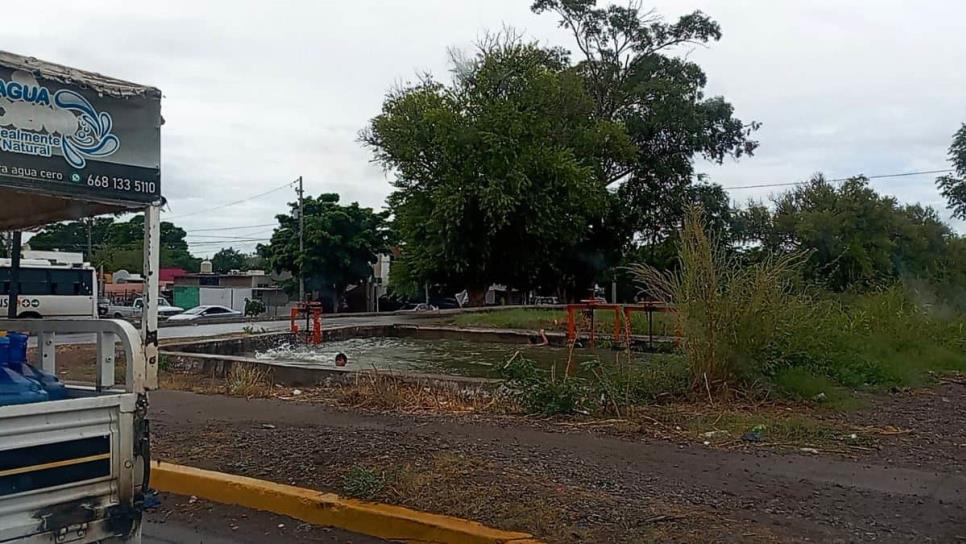 ¡De alto riesgo! Niños aprovechan suspensión de clases y se bañan en canal de riego en Los Mochis