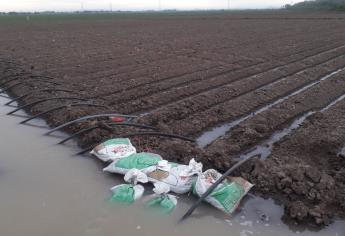 Ahome implementará Plan de recuperación de agua para cultivos
