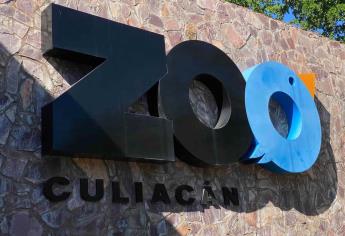 ¿Cuál es el animal «más raro» que vive en el Zoológico de Culiacán?