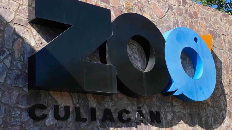 ¿Cuál es el animal «más raro» que vive en el Zoológico de Culiacán?