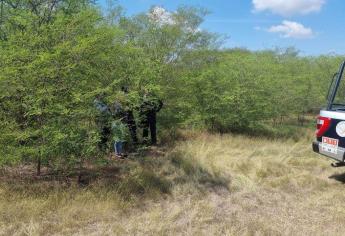 Encuentran una osamenta cerca de La Costerita de Culiacán