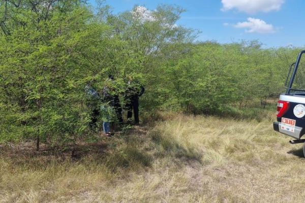 Encuentran una osamenta cerca de La Costerita de Culiacán