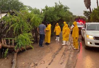 «No hay cosa material que valga tanto como la vida», dice Rocha Moya tras afectaciones de la tormenta «Norma»