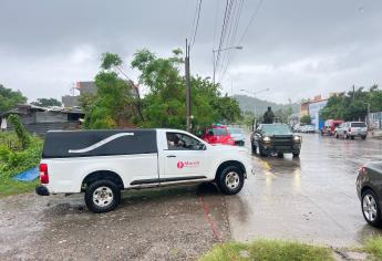 Pedro fue encontrado a 10 kilómetros de distancia de donde desapareció