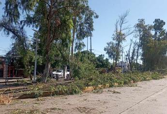 «Norma» deja pérdidas millonarias en restaurantes de Los Mochis