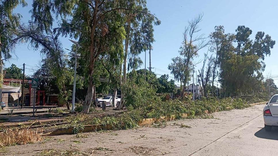 «Norma» deja pérdidas millonarias en restaurantes de Los Mochis