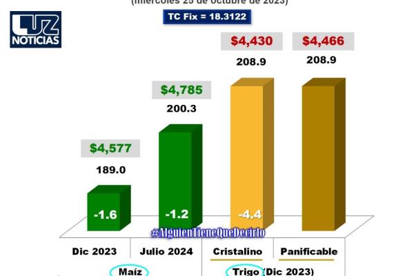 Precio de maíz y trigo a la baja