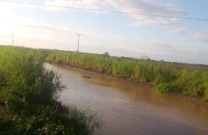 Localizan vagoneta dentro del Canal Alto en Guasave, el conductor está desaparecido