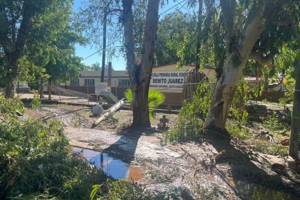 Mil 213 escuelas presentan daños por «Norma»; SEPyC alista documentos para solicitar apoyos