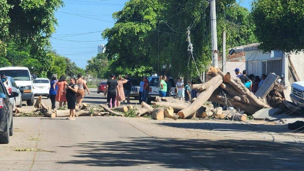 ¿Sigues sin luz? CFE asegura que ya se restableció al 100 % la energía en Sinaloa