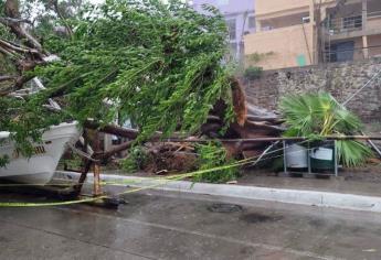 Ahome se recupera al 95% después del paso de la Tormenta Tropical «Norma»