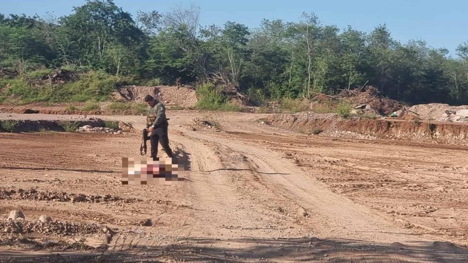 Hombre ejecutado en Culiacán estaba reportado como desaparecido