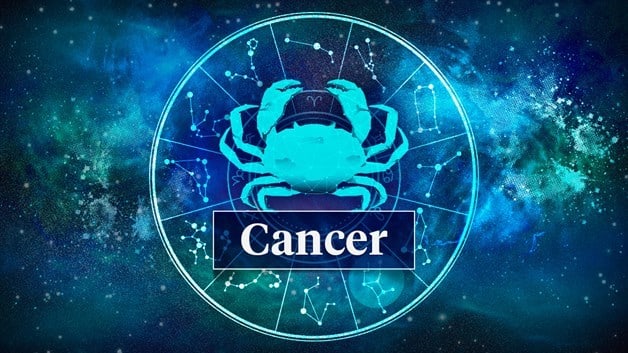 Imagen Placeholder Imagen Placeholder