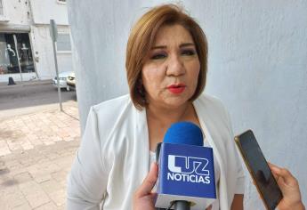 María Inés Pérez Corral se registra por una Diputación Federal con Morena