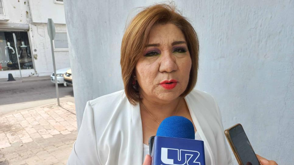 María Inés Pérez Corral se registra por una Diputación Federal con Morena