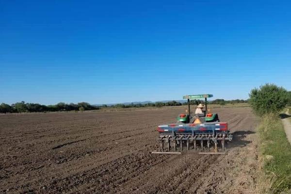 Presas de Sinaloa: ¿Qué se puede sembrar con el agua que asignó Conagua?