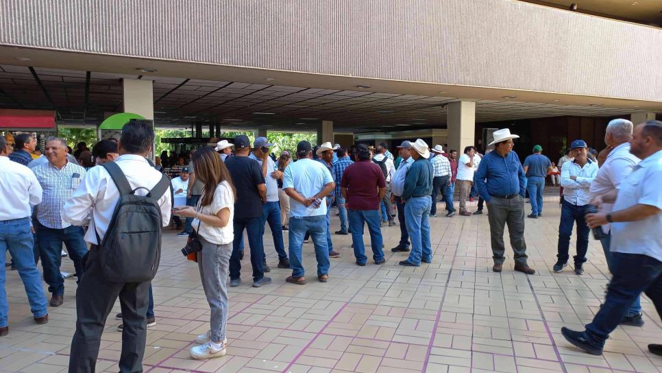 Productores amenazan con tomar oficinas de Gobierno en Sinaloa: ¡Exigen el pago de Maíz!