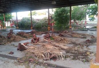 En Ahome alumnos del nivel básico retoman clases en escuelas sin luz; 4 siguen cerradas 